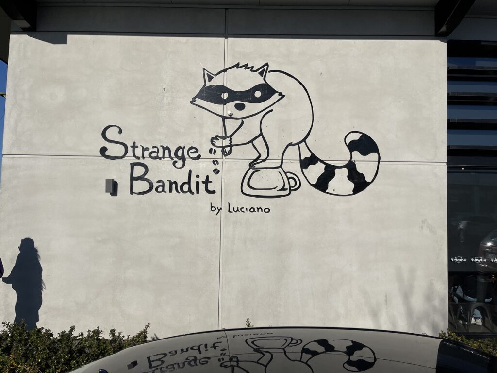 Strange Bandit